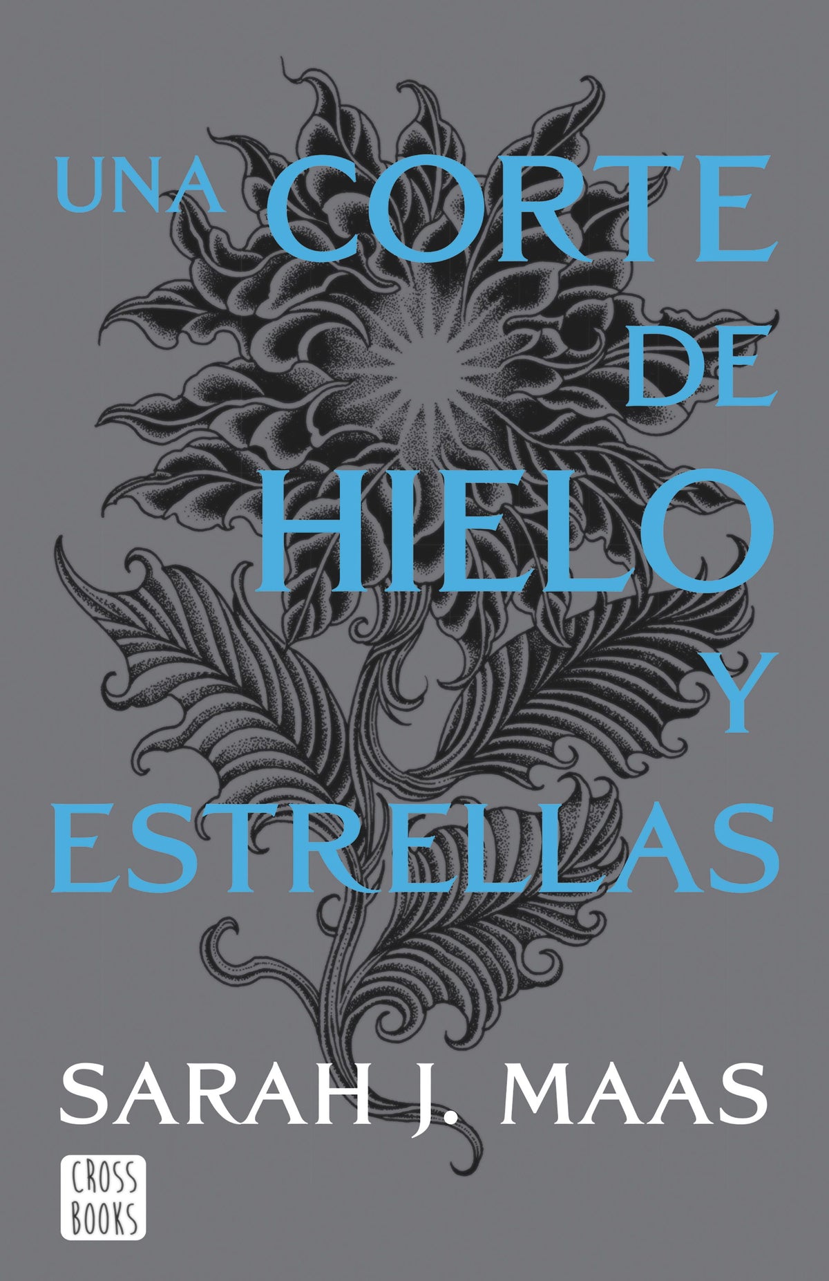 Una corte de hielo y estrellas