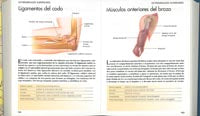 El cuerpo humano