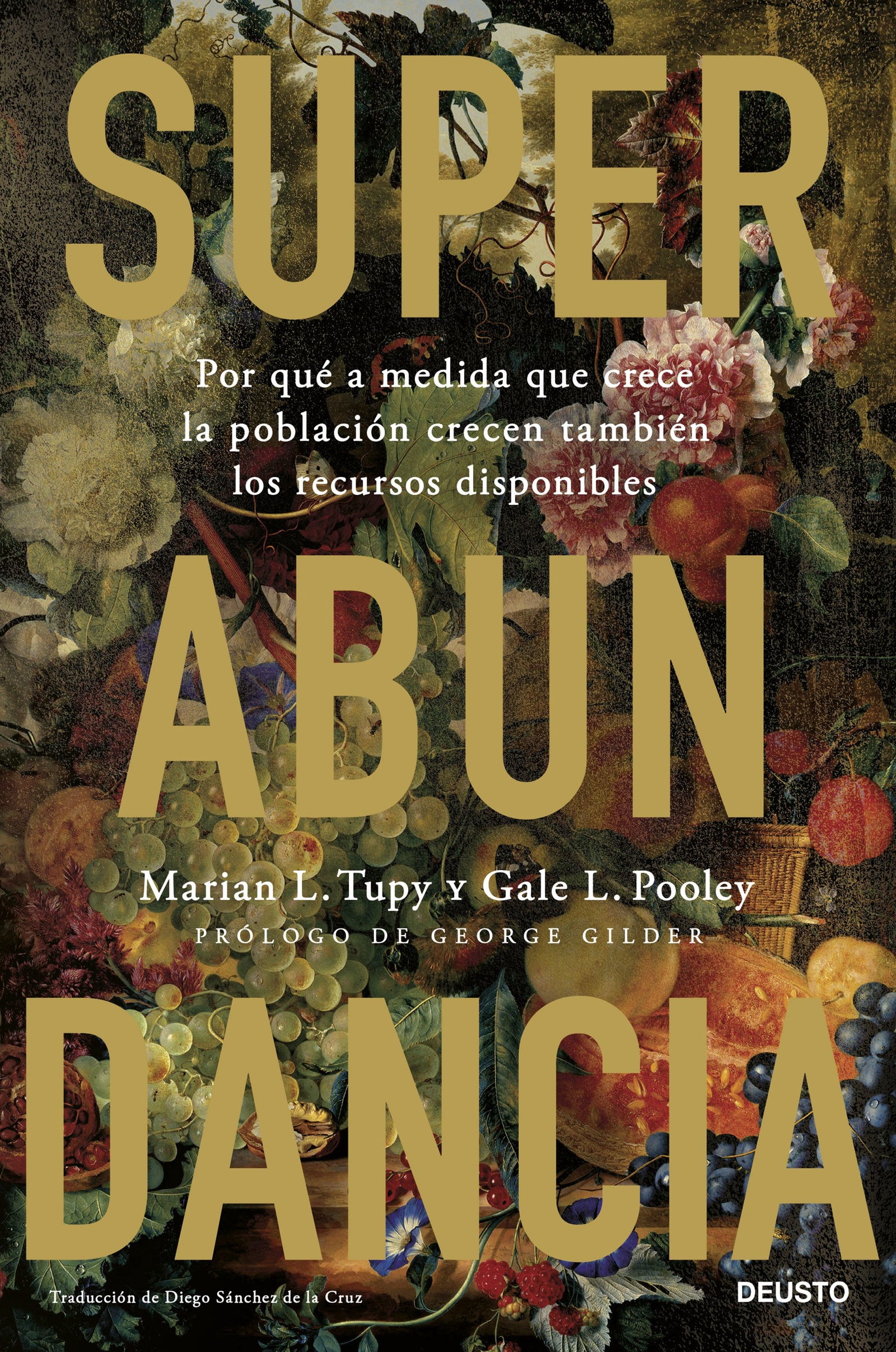 Superabundancia