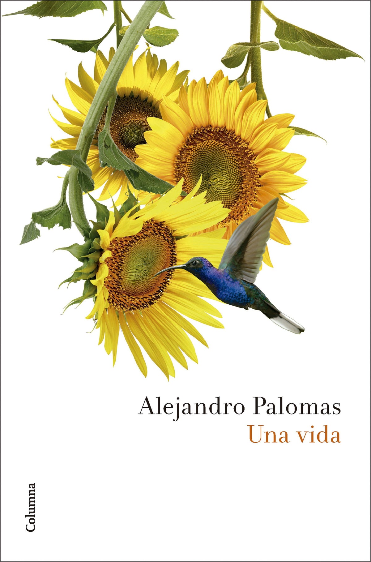 Una vida