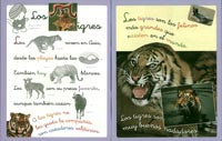 Animales con pictogramas Nº 4