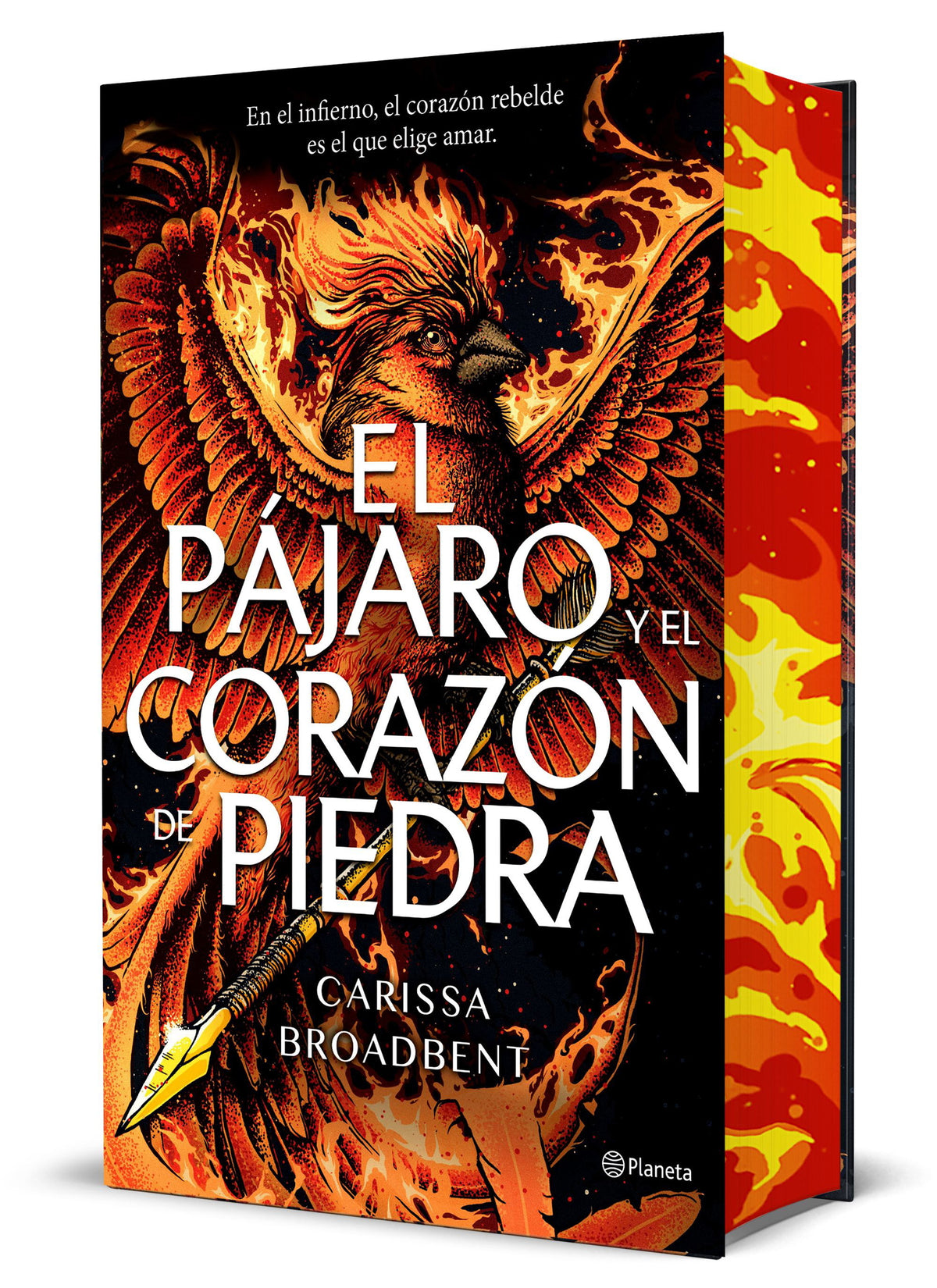El pájaro y el corazón de piedra (Edición Deluxe)