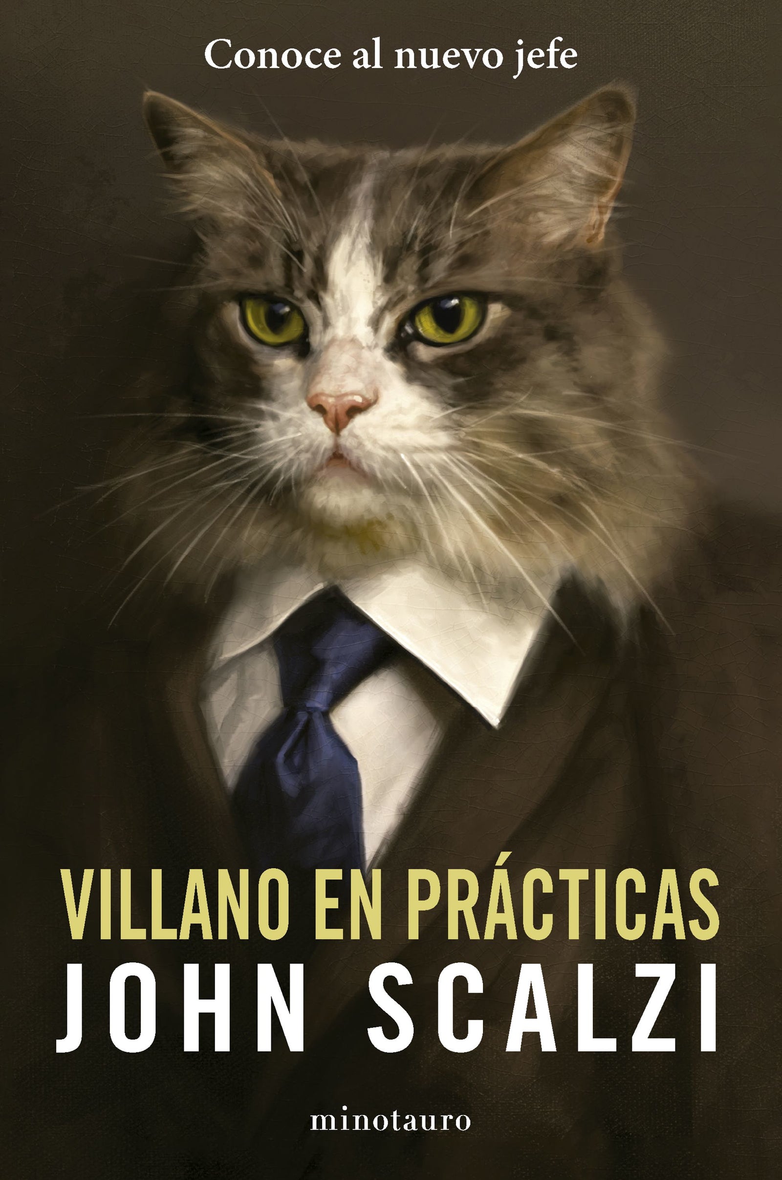 Villano en prácticas