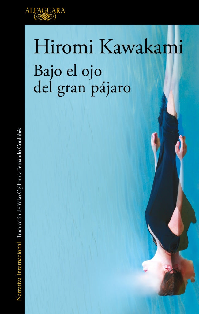 Bajo el ojo del gran pájaro
