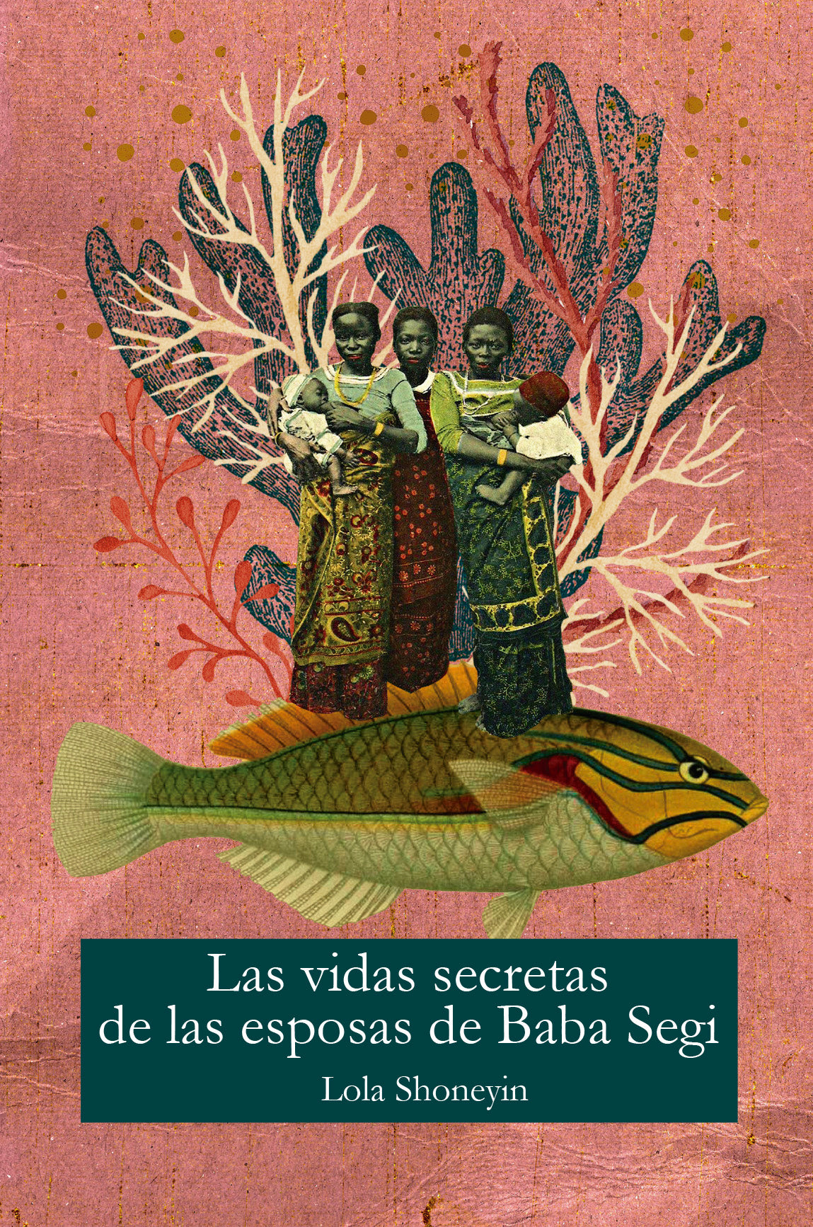 La vida secreta de las esposas de Baba Segi