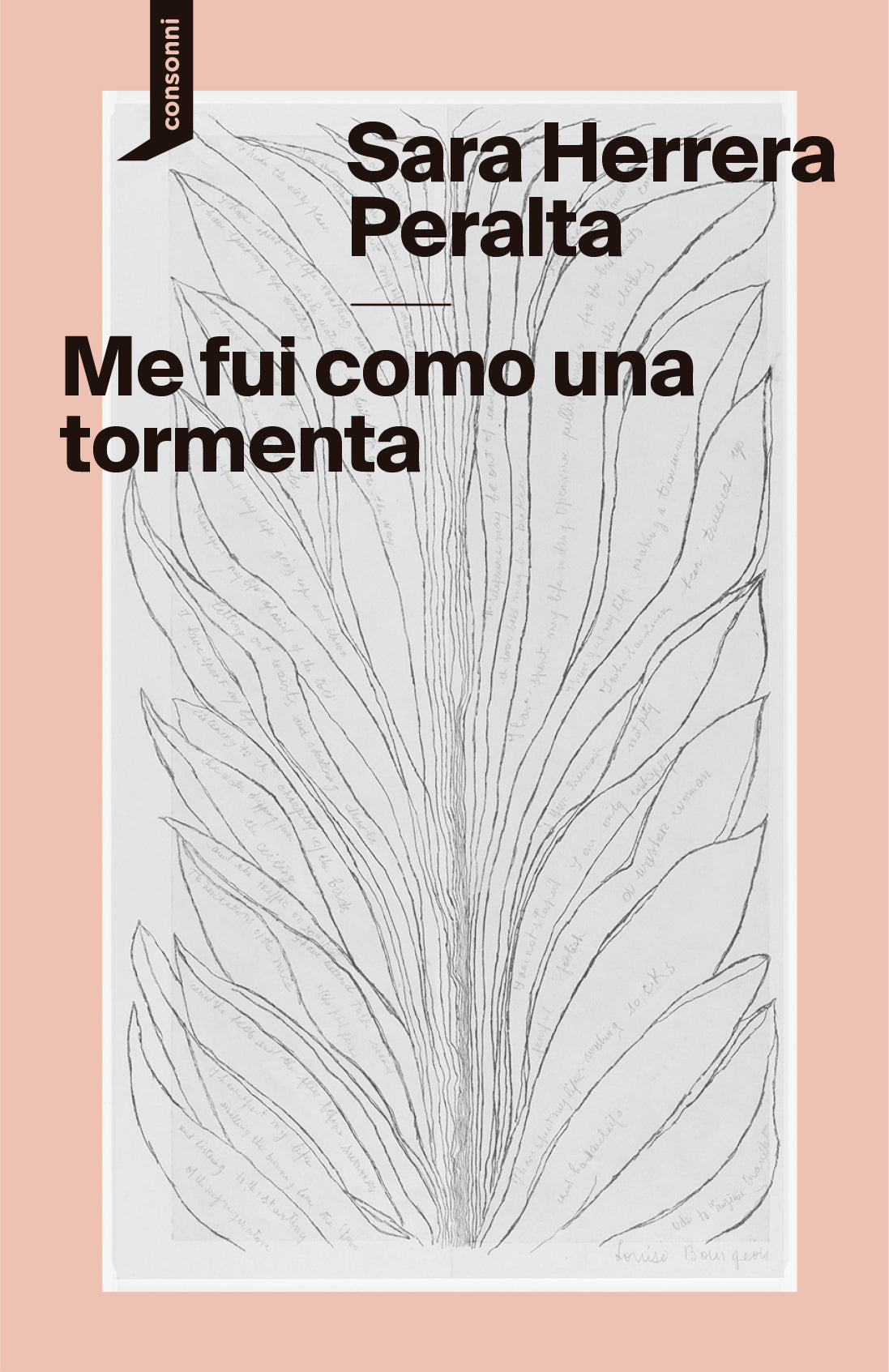 Me fui como una tormenta