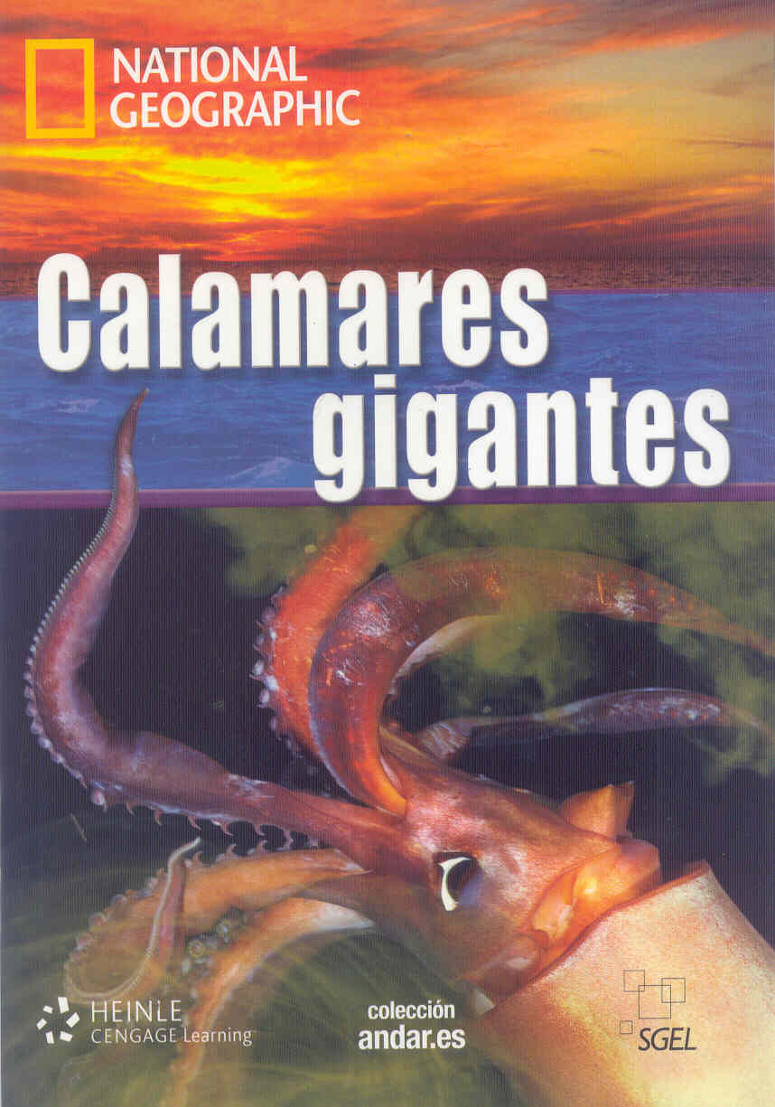 Calamares gigantes