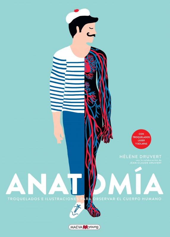 Anatomía
