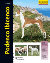 Podenco Ibicenco