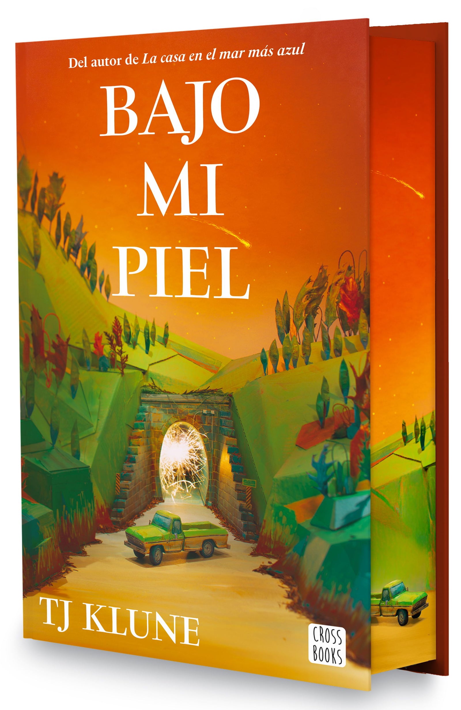 Bajo mi piel
