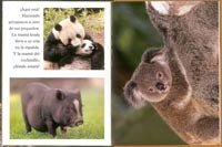 Crías de animales