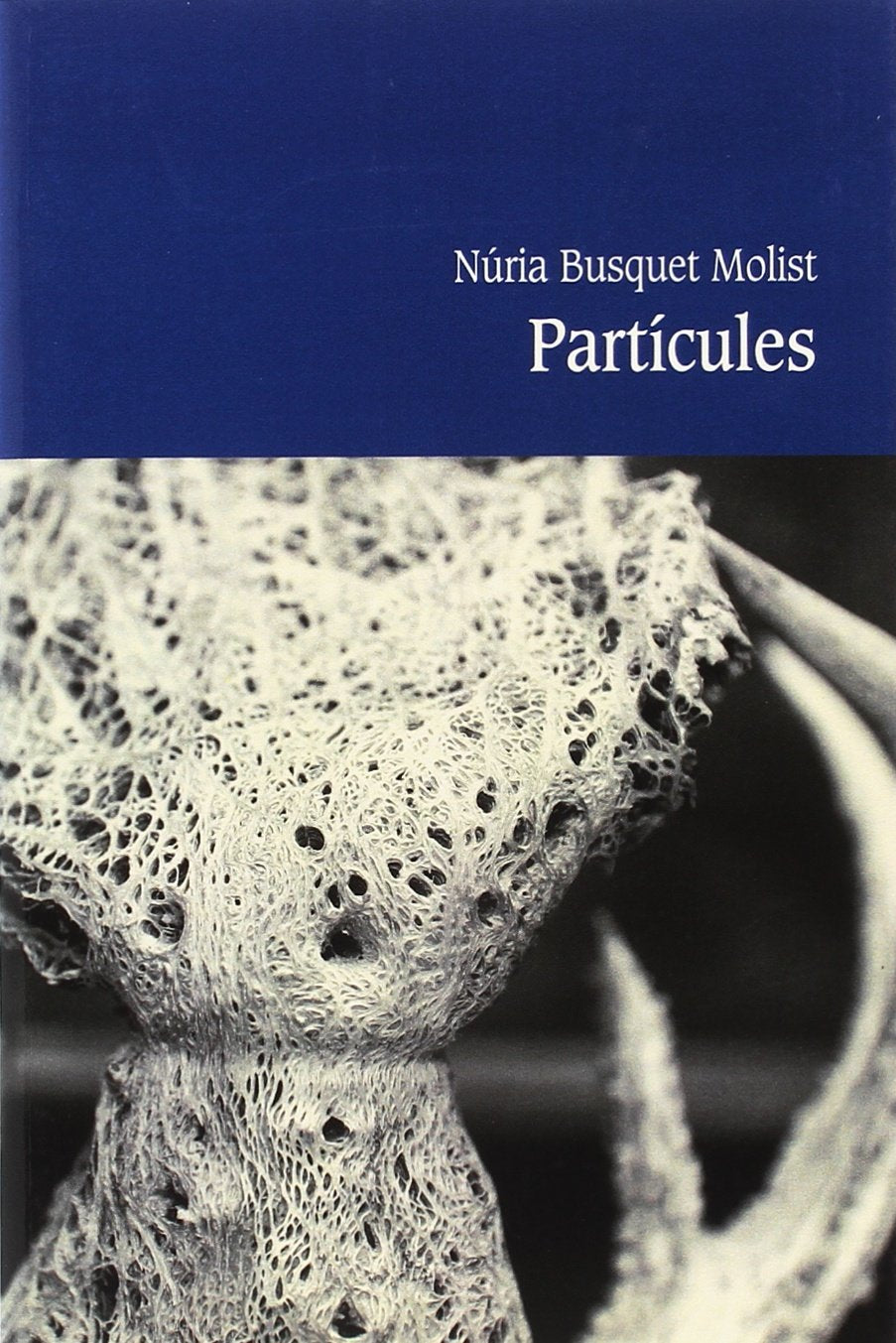 Partícules (SIN COLECCION)