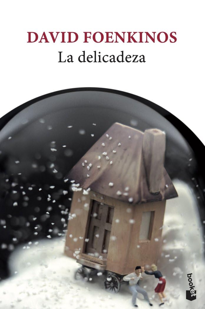 La delicadeza (Novela)