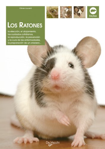 Los ratones (Animales)