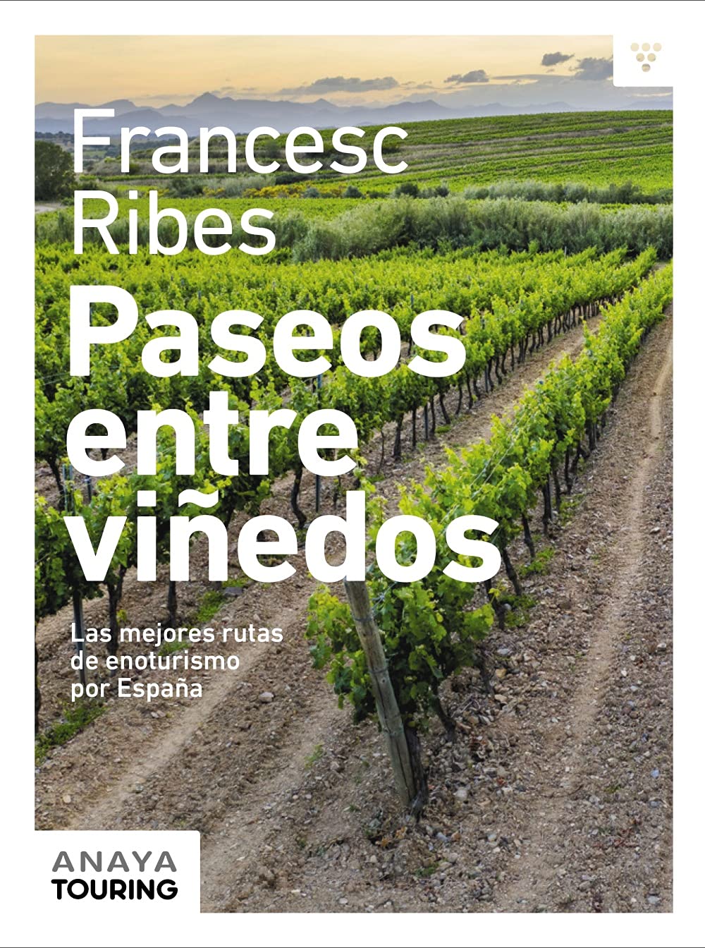 Paseos entre viñedos: Las mejores rutas de enoturismo por España (Guías Singulares)