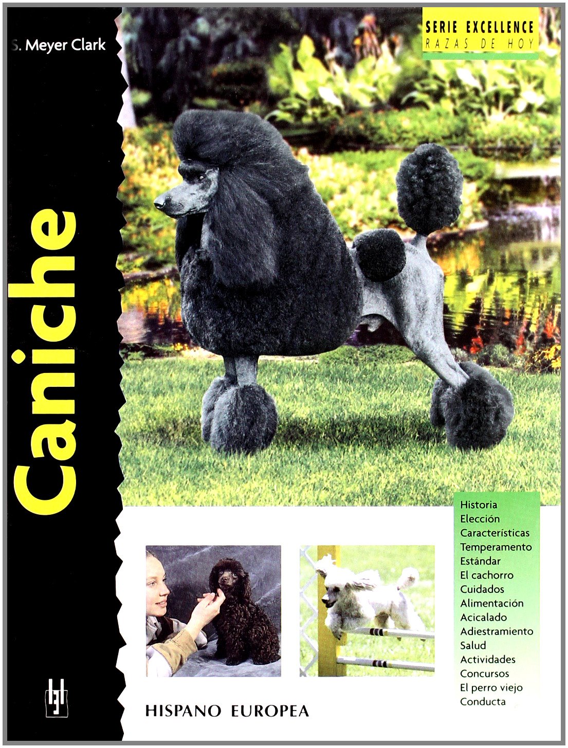 Caniche (Excellence)
