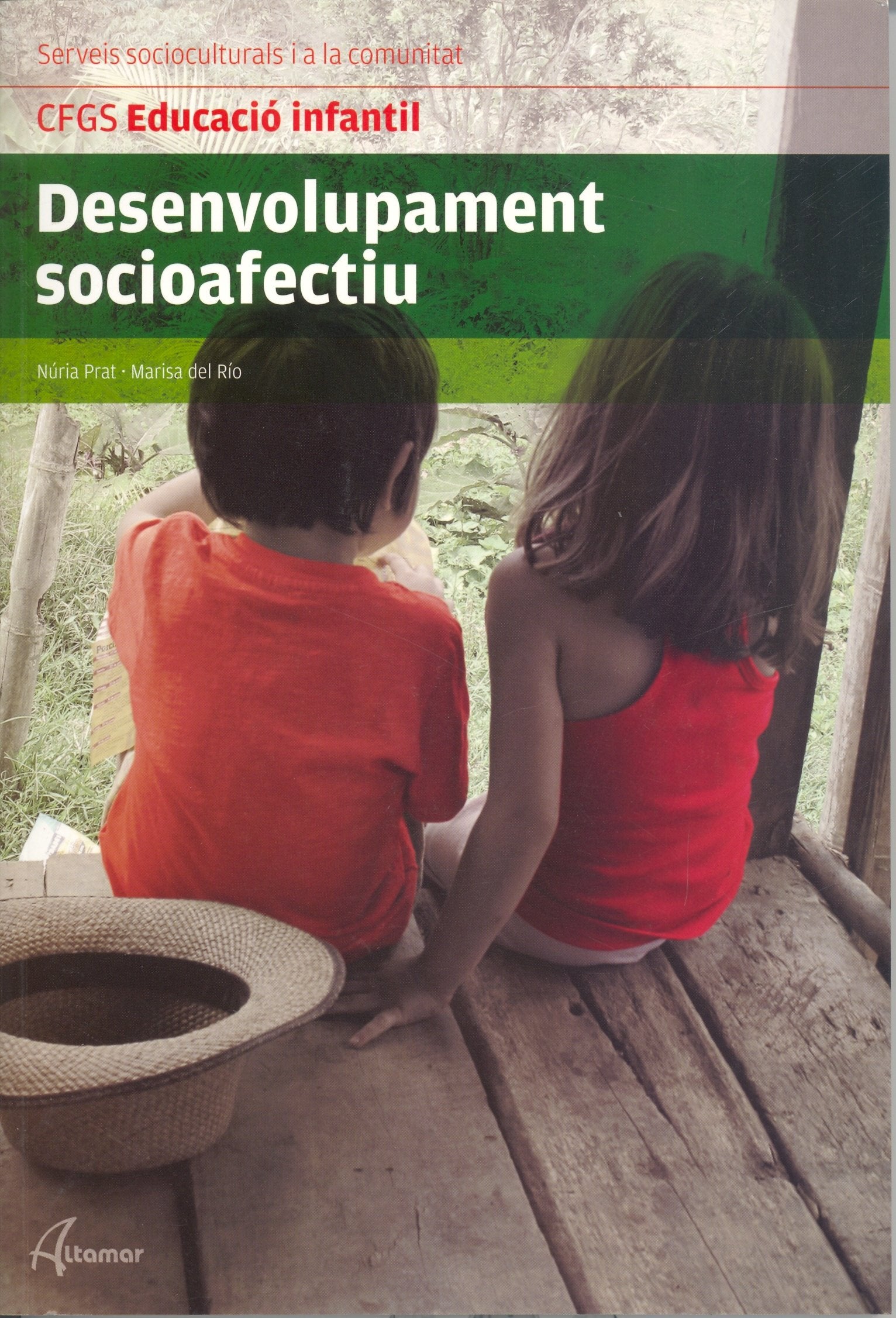 DESENVOLUPAMENT SOCIOAFECTIU (CFGS EDUCACIÓ INFANTIL)
