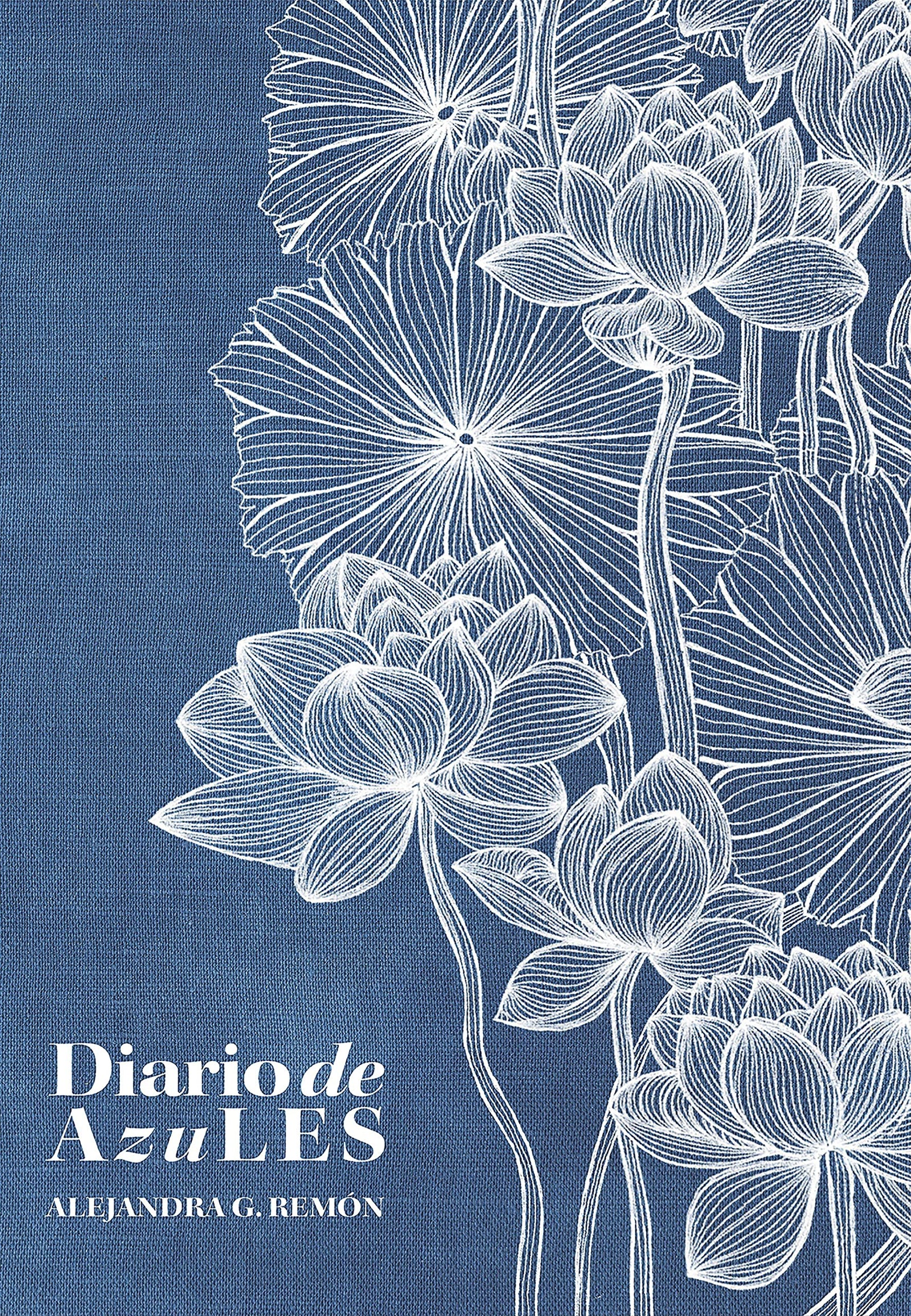 Diario de AzuLES (Literatura ilustrada)