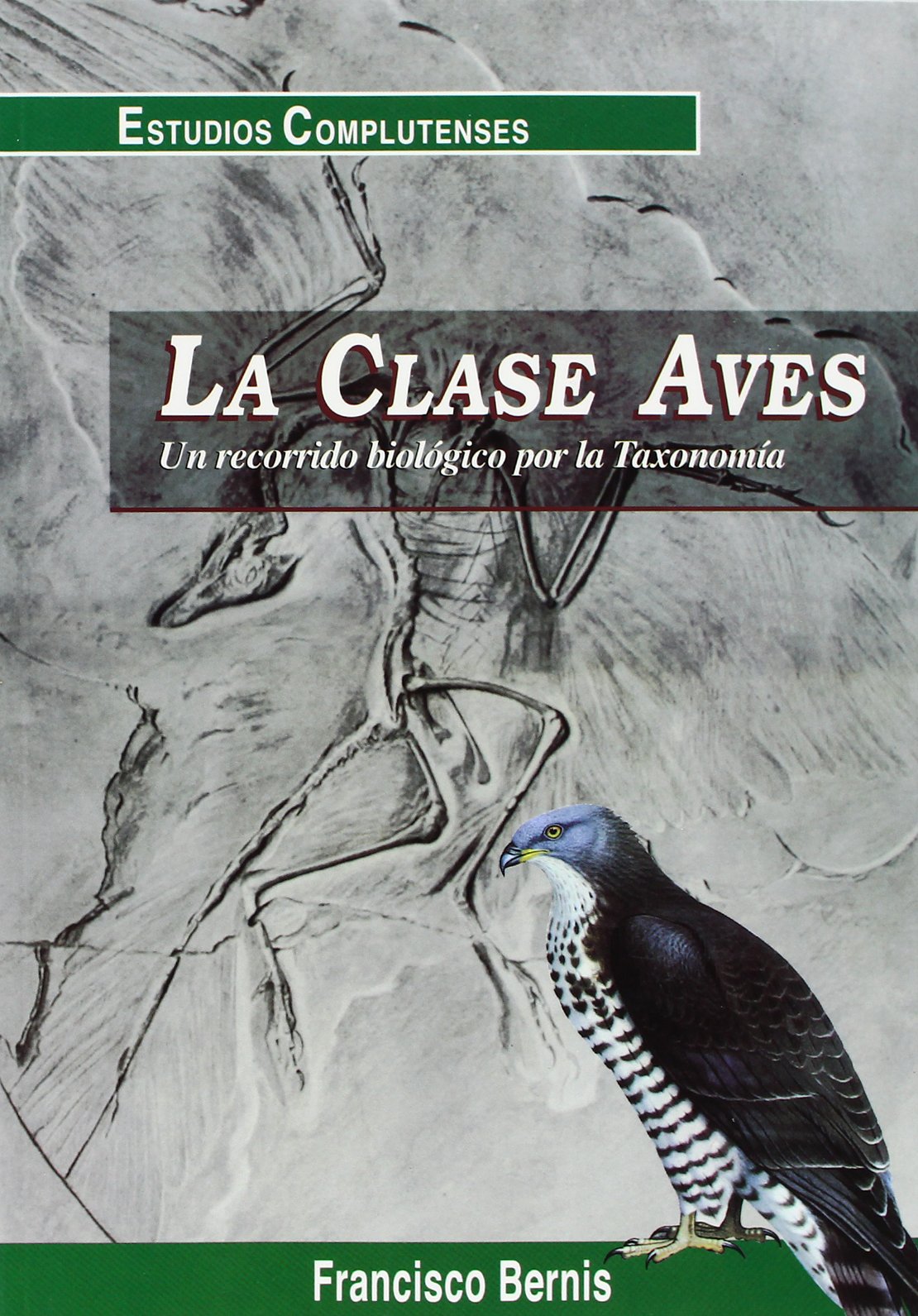 Clase aves, La