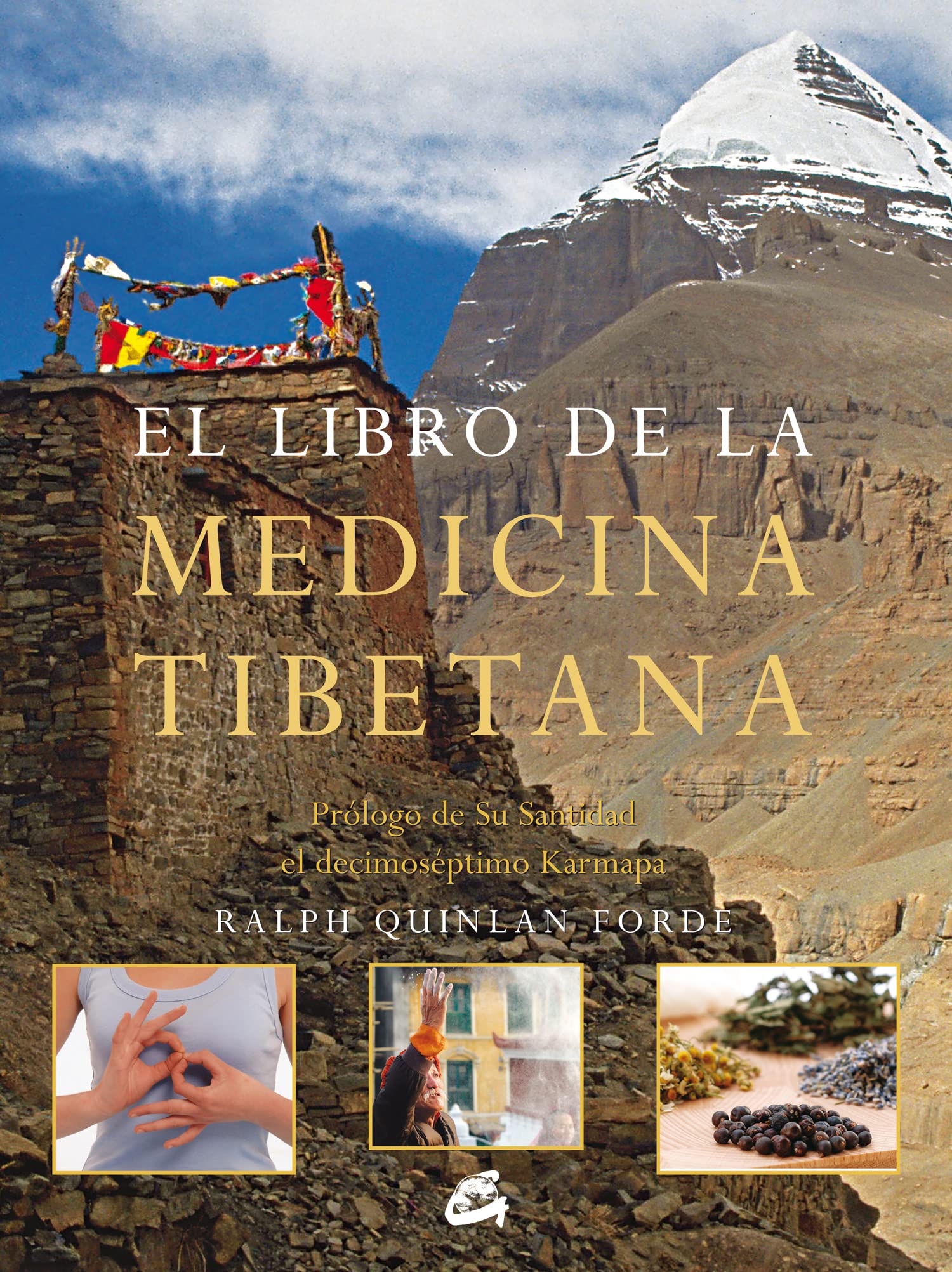 LIBRO DE LA MEDICINA TIBETANA, EL
