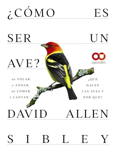 ¿Cómo es ser un ave? De volar a anidar, de comer a cantar... ¿Qué hacen las aves y por qué? (ESPACIO DE DISEÑO)