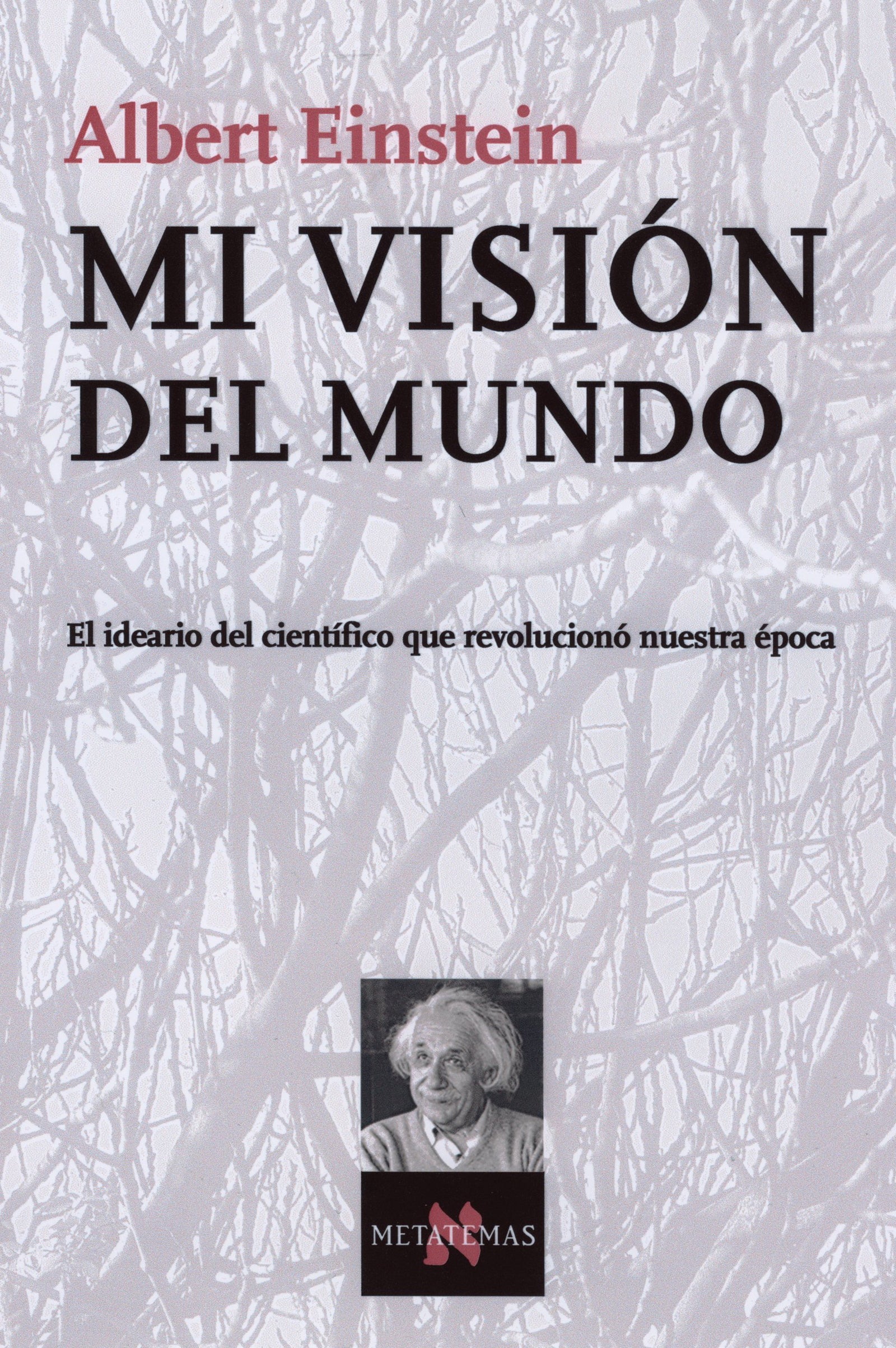 Mi visión del mundo: 90 (Metatemas)
