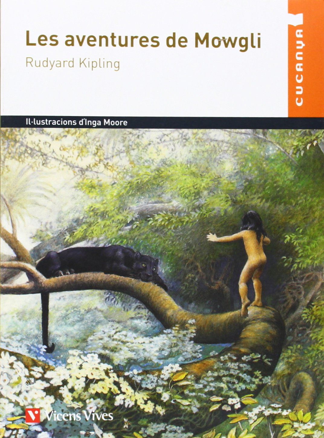 Les Aventures De Mowgli N/c