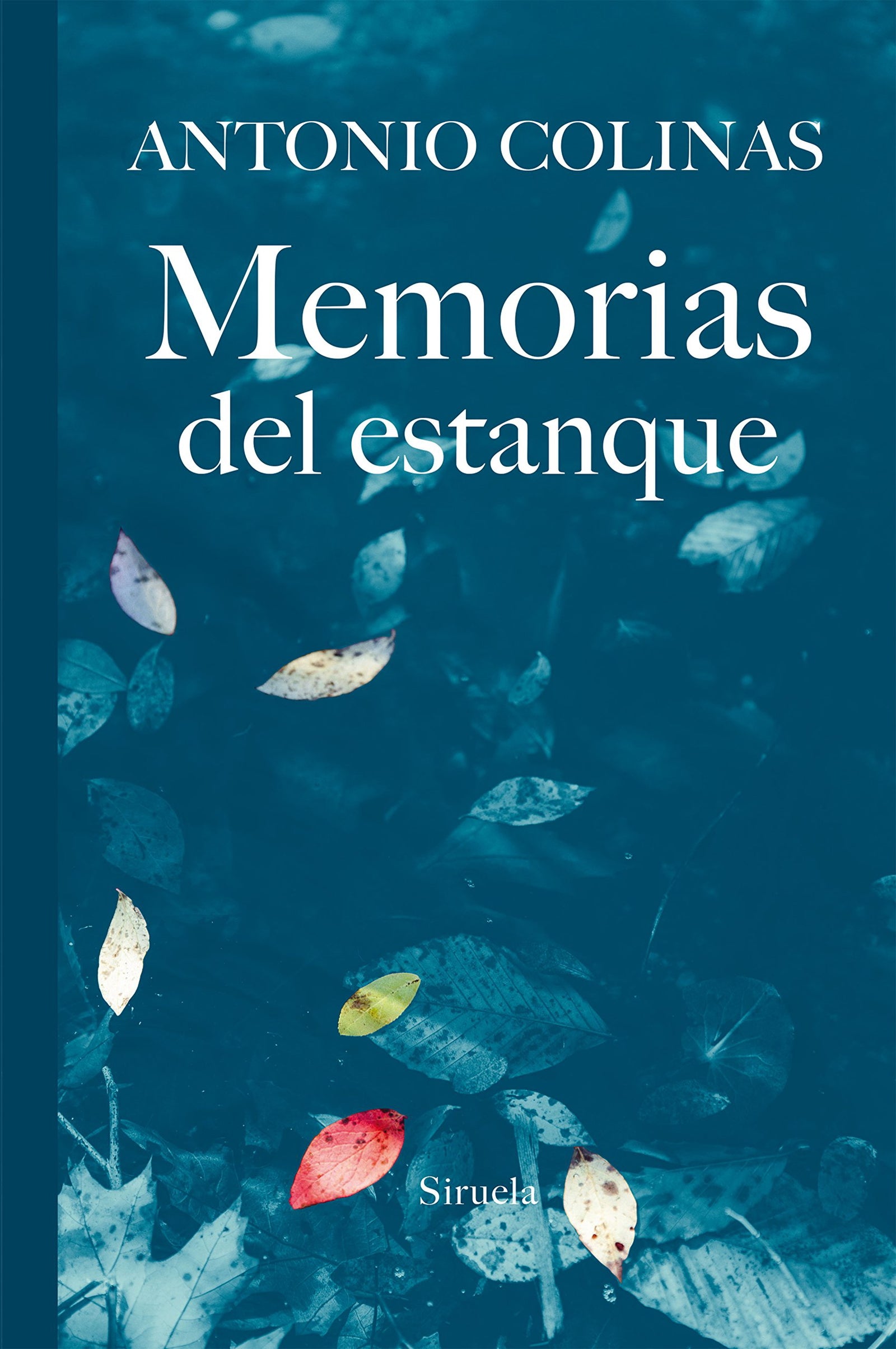 Memorias del estanque: 334 (Libros del Tiempo)