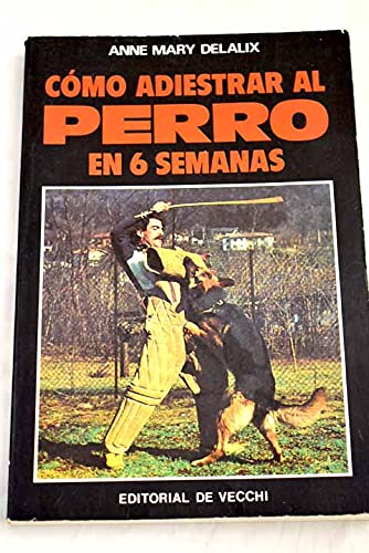 Como adiestrar al perro en 6 semanas