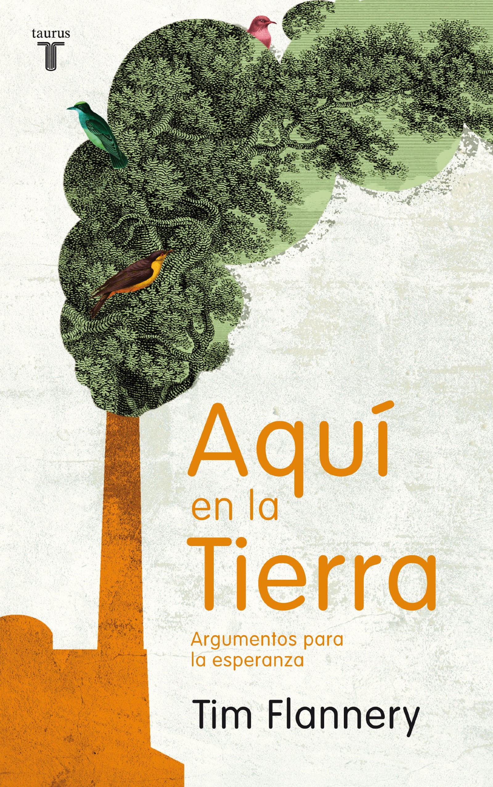 Aquí en la tierra: Argumentos para la esperanza (Pensamiento)