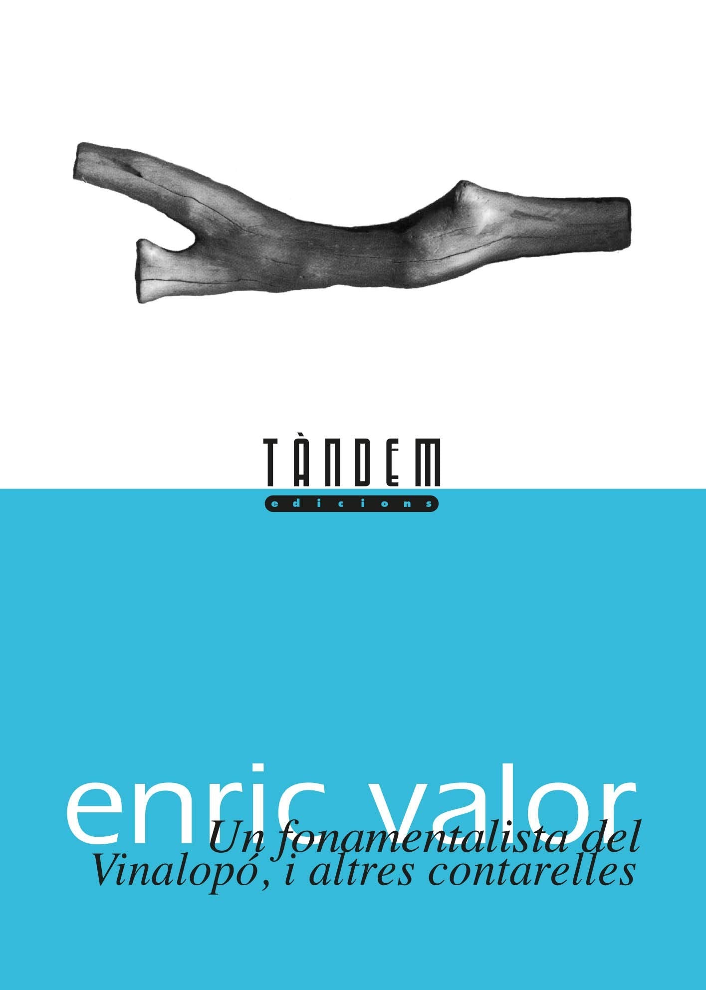 Un fonamentalista del Vinalopó, i altres contarelles (Obra Literària Completa d¿Enric Valor)