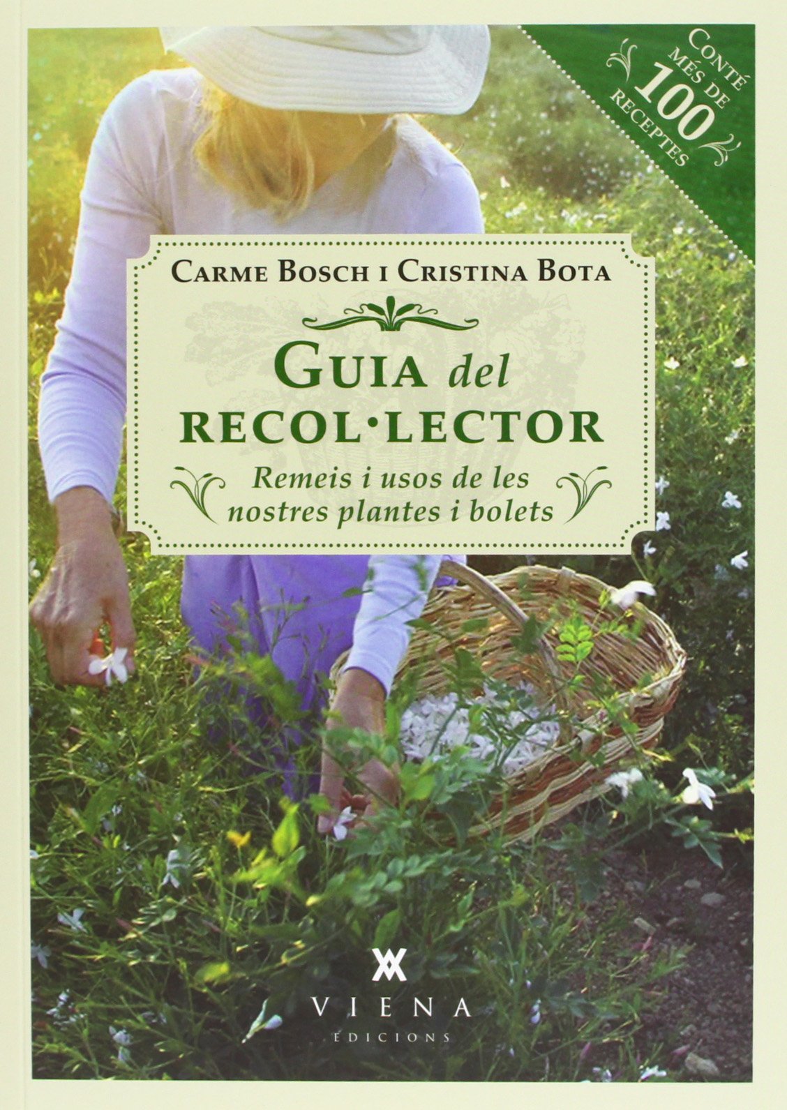 Guia Del Recol Lector. Remeis I Usos De Les Nostres Plantes: Remeis i usos de les nostres plantes i bolets (Fora de col·lecció)