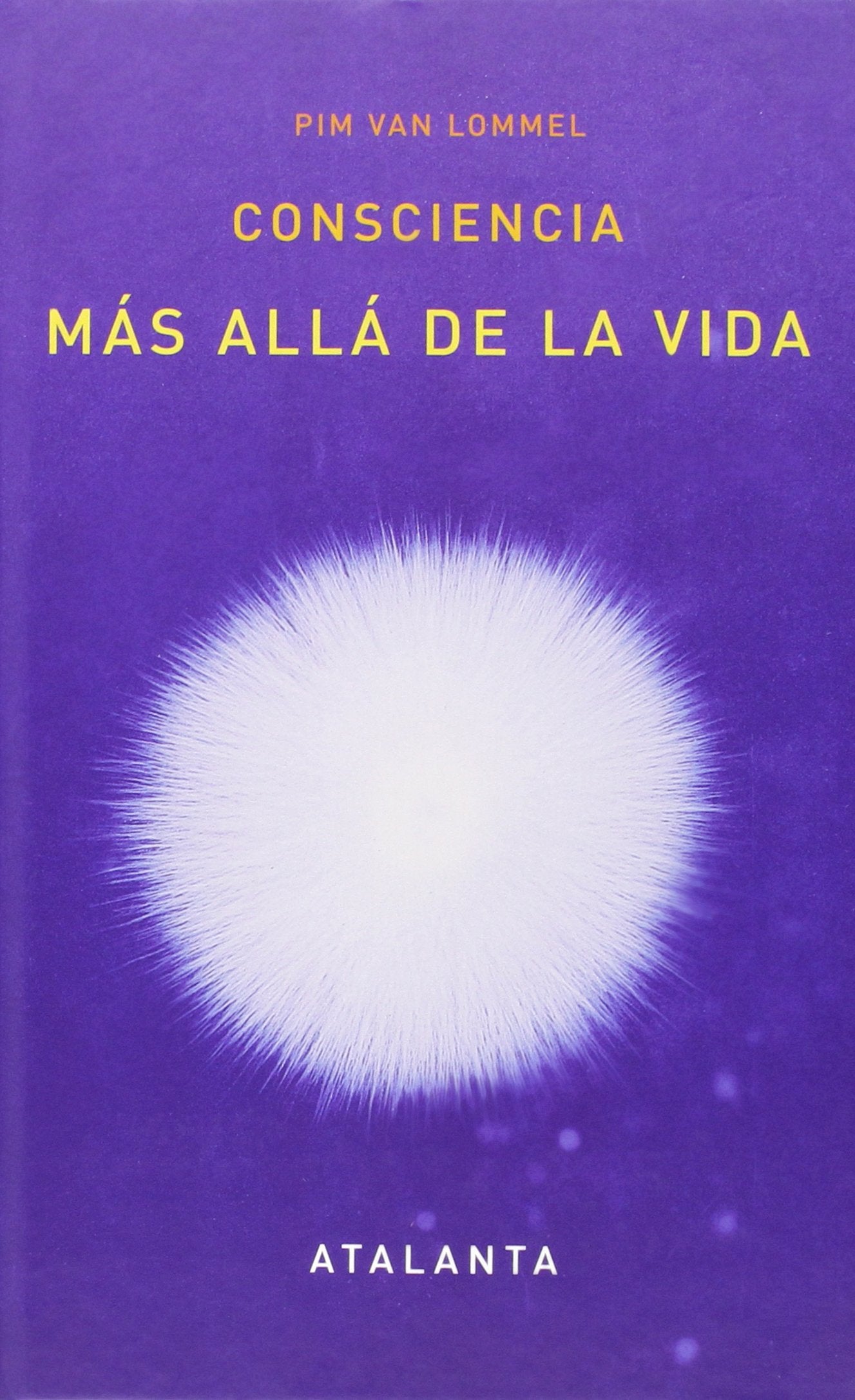 Consciencia más allá de la vida. (imaginaTIO VERA)