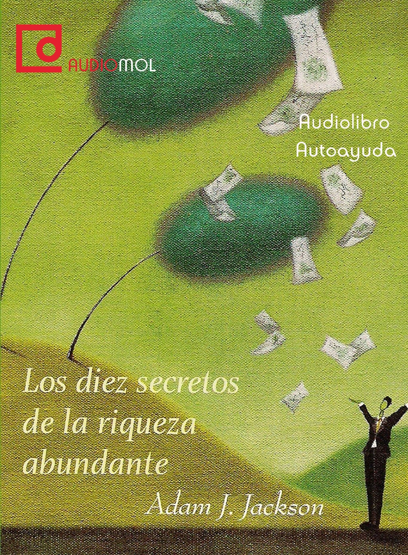 Los diez secretos de la riqueza abundante.Audiolibro. Cd Mp3