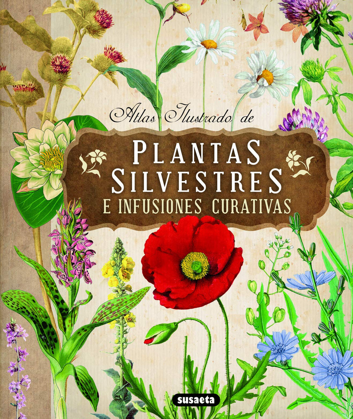 Plantas silvestres e infusiones curativas