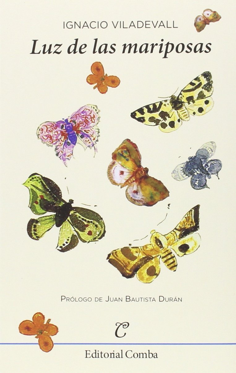 Luz de las mariposas