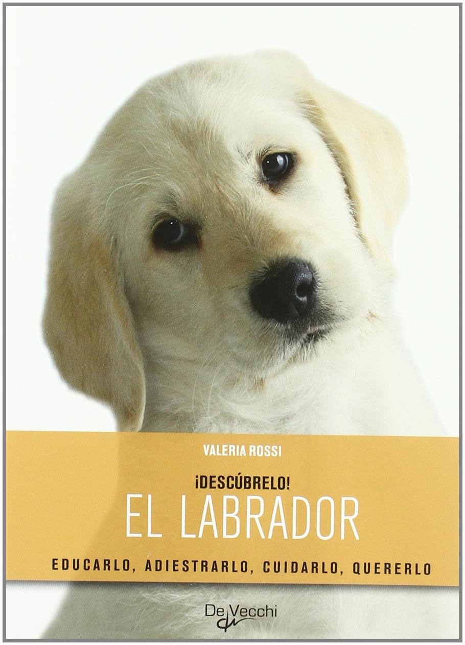 Labrador, el (Descubrelo (de Vecchi))