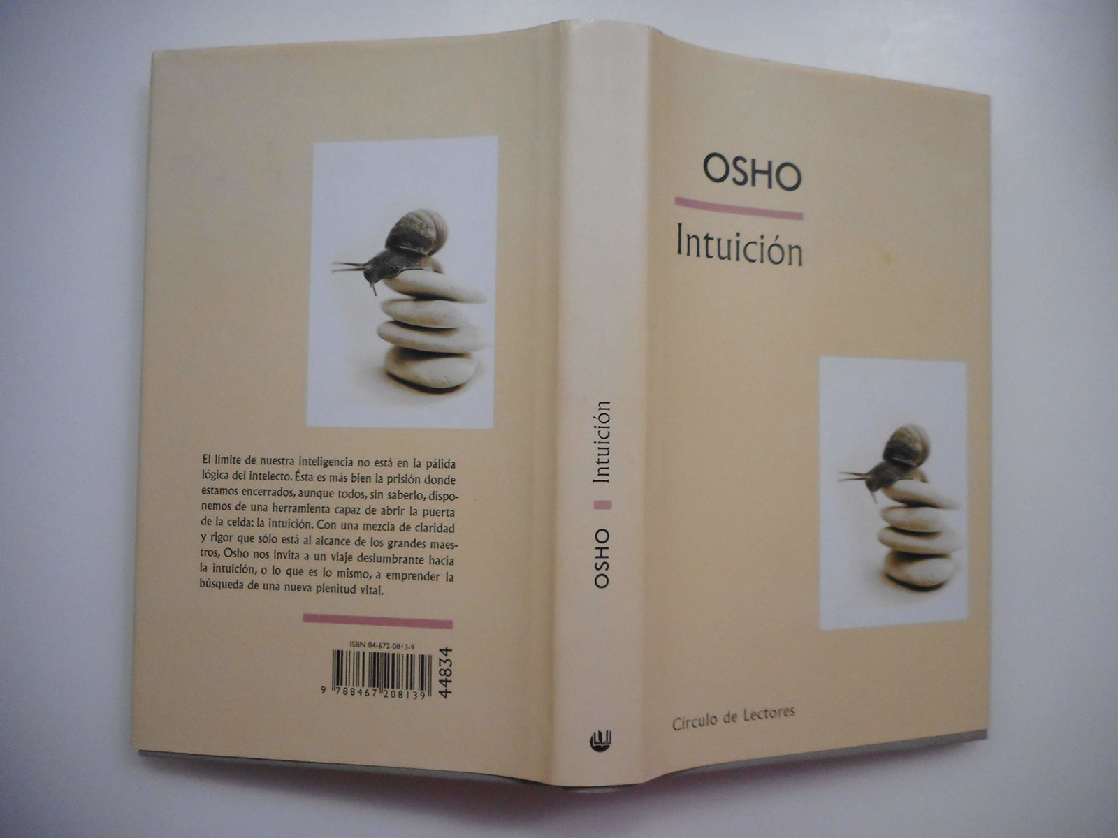Intuición. El Conocimiento Que Trasciende La Lógica