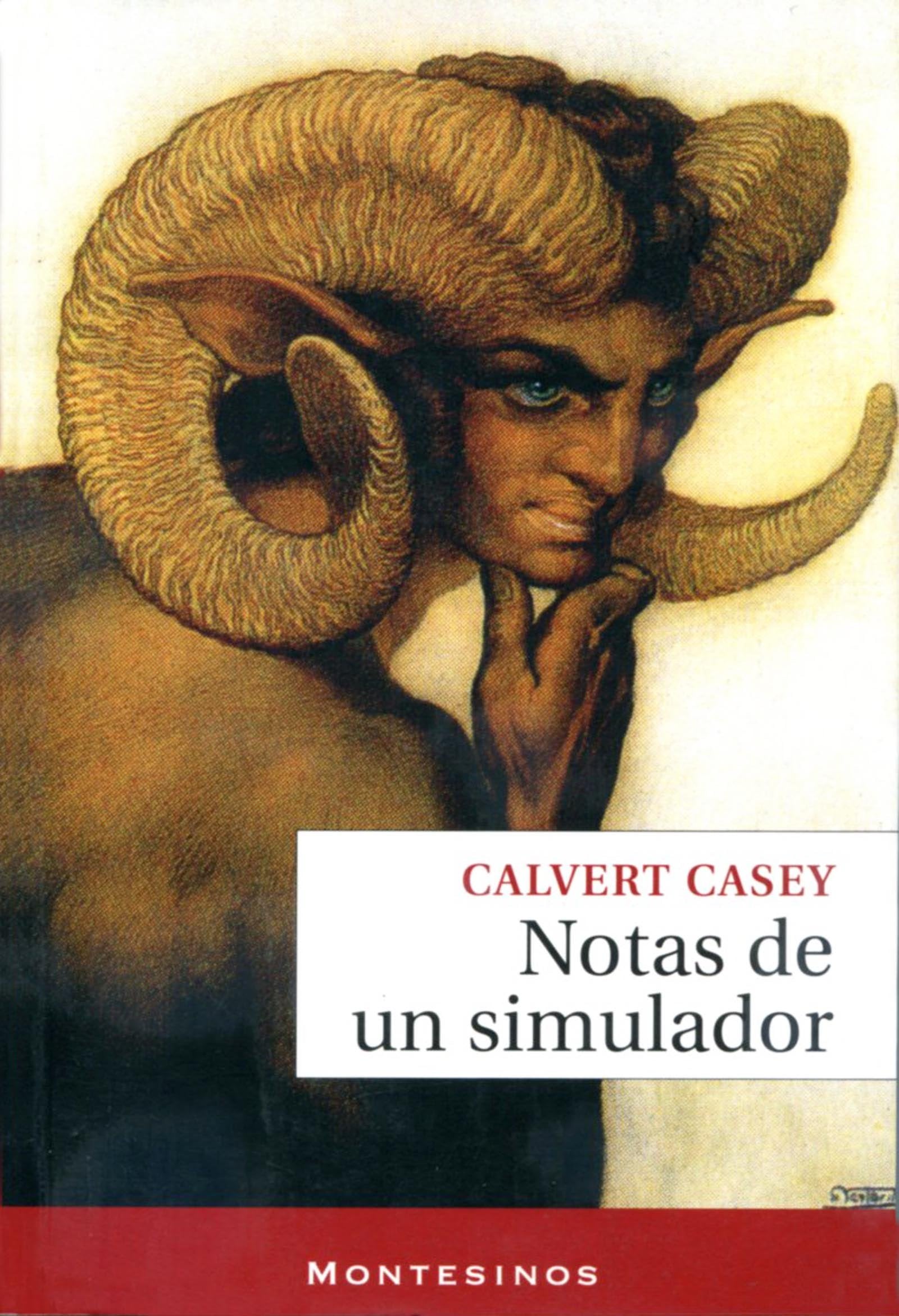 Notas de un simulador (Narrativa contemporánea)