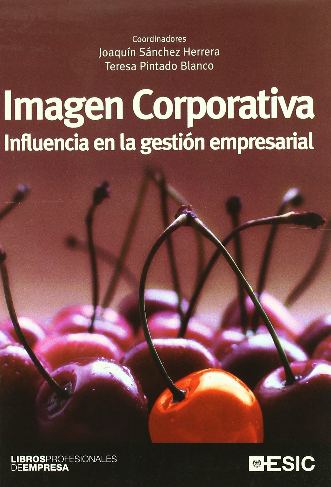 Imagen Corporativa: Influencia en la gestión empresarial (Libros profesionales)