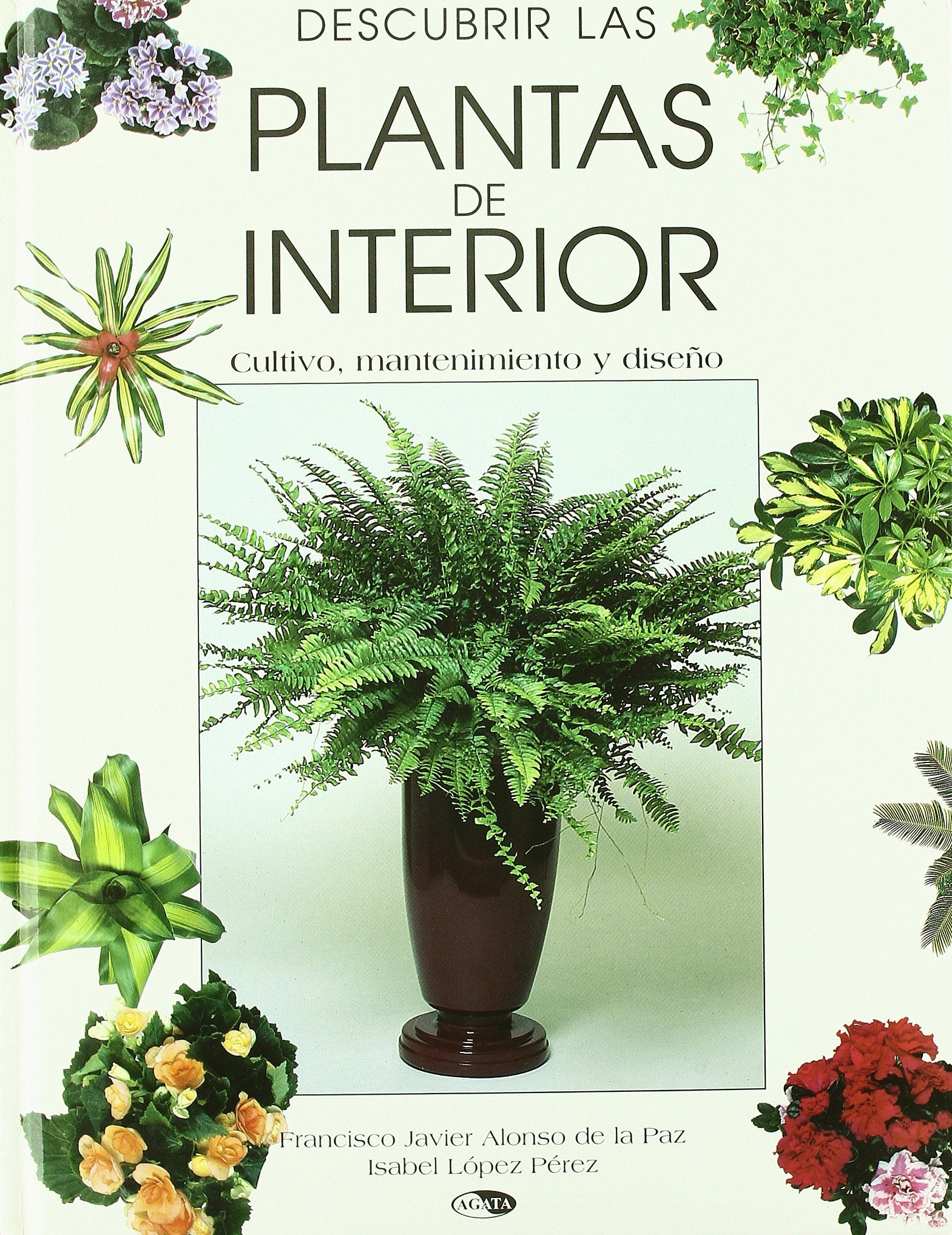 DESCUBRIR LAS PLANTAS DE INTERIOR (SIN COLECCION)