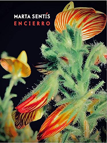 Encierro