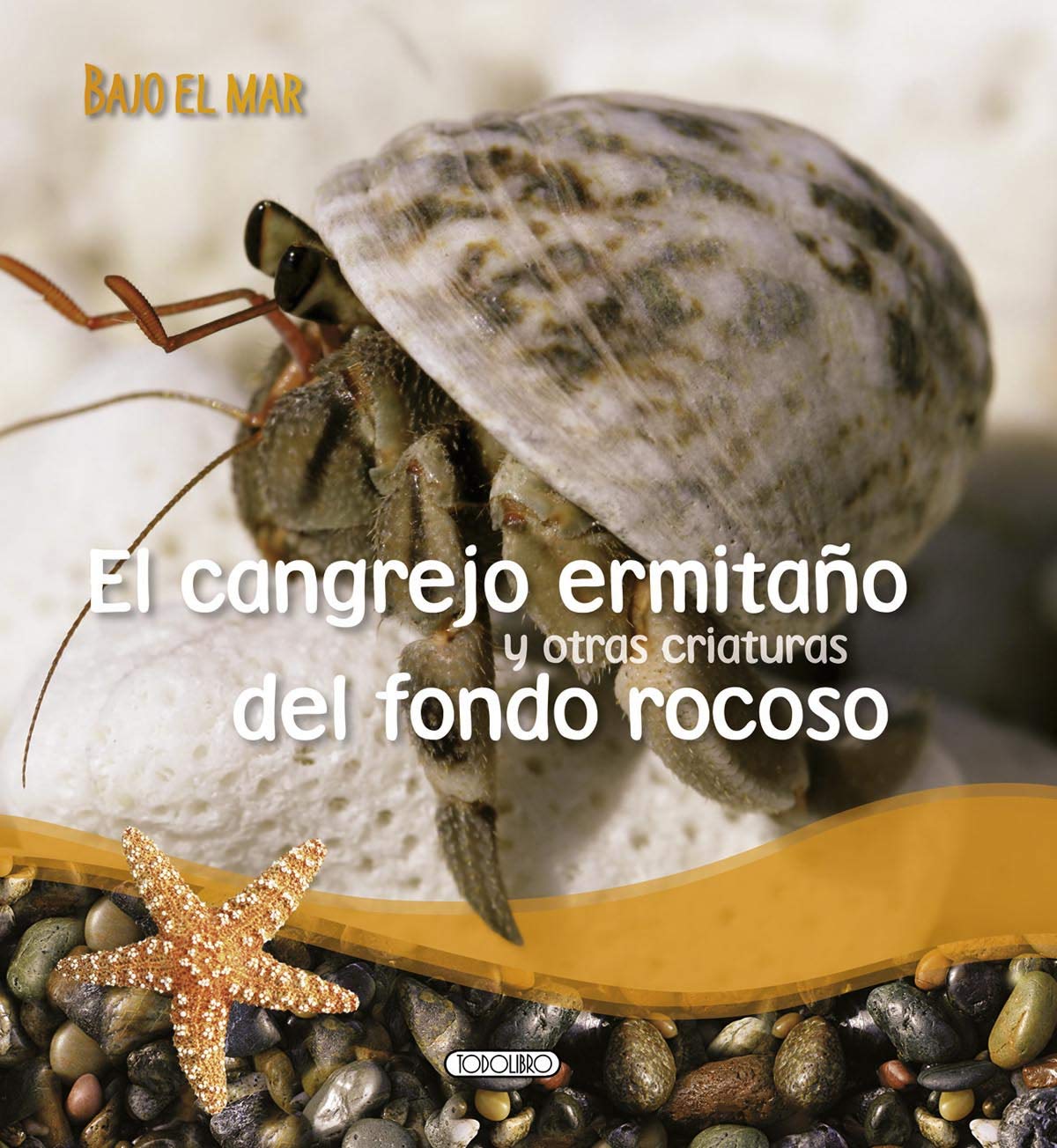El cangrejo ermitaño y otras criaturas del fondo rocoso (Bajo el mar)