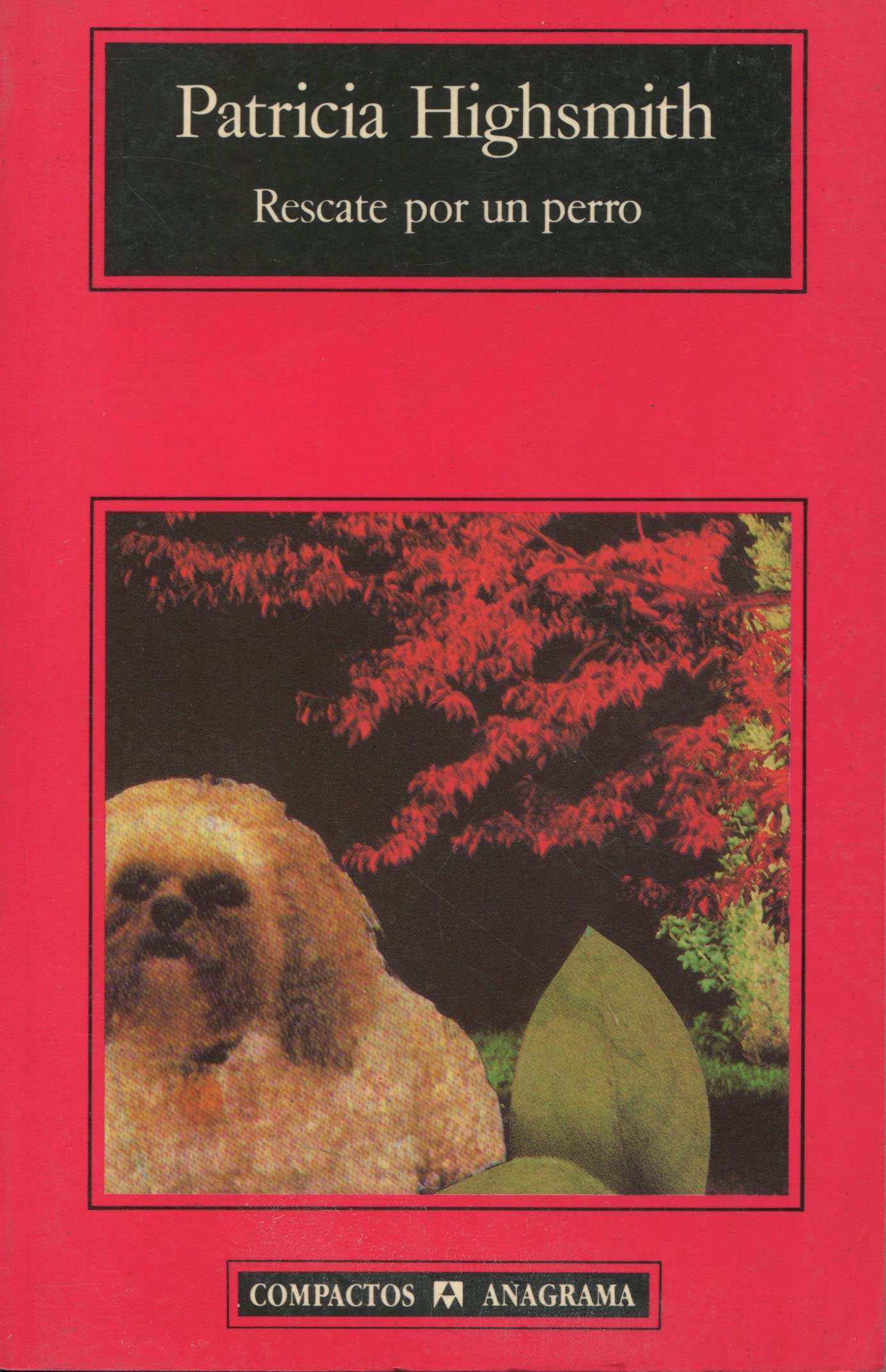 Rescate por un perro: 46 (Compactos)