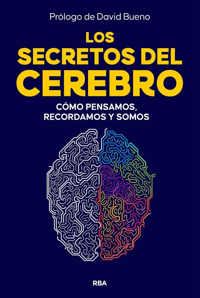 Los secretos del cerebro: Cómo pensamos, recordamos y somos (Divulgación)