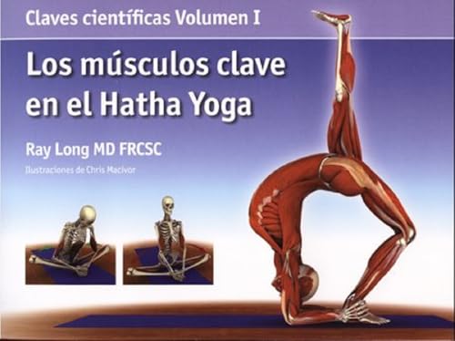 Los músculos clave en el hatha yoga (ENCICLOPEDIA TECNICA)