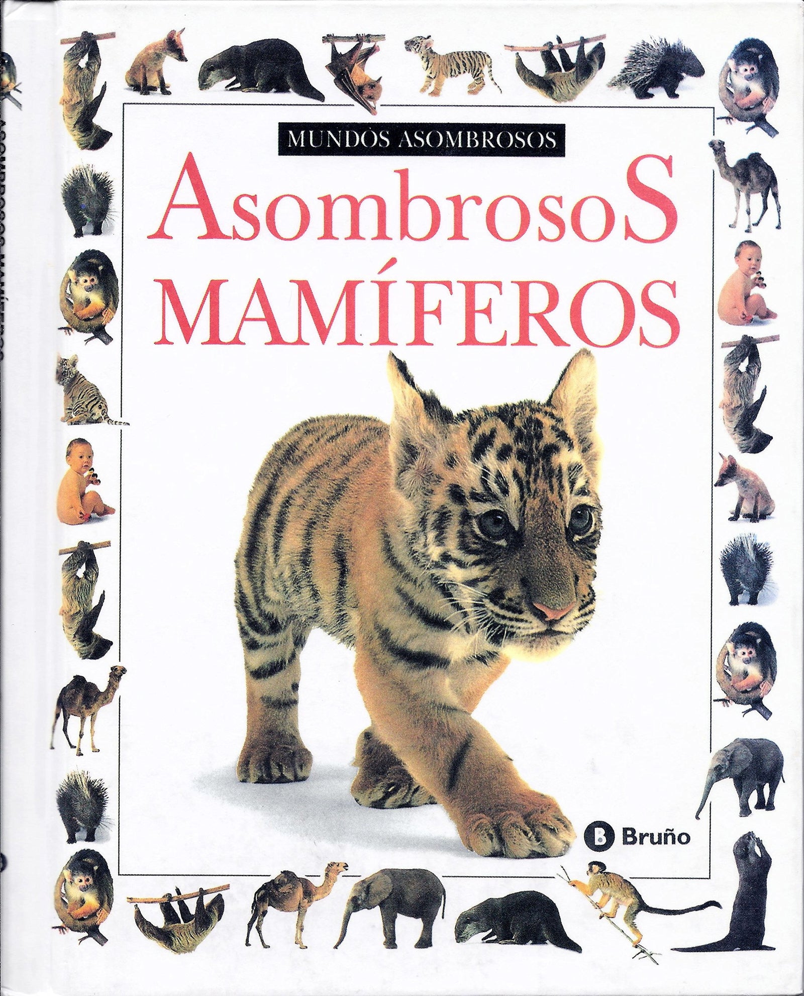 ASOMBROSOS MAMIFEROS (ASOMBROSOS OSOS)