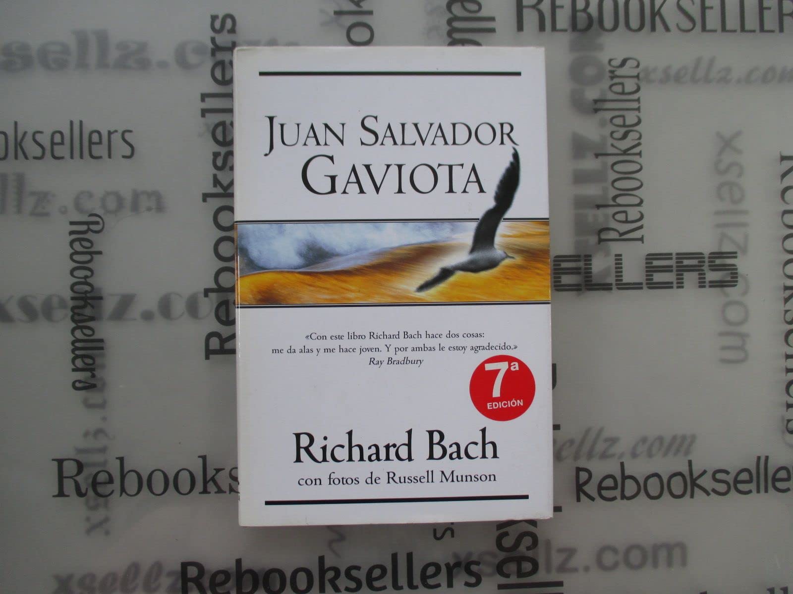 Juan Salvador Gaviota (Millenium)