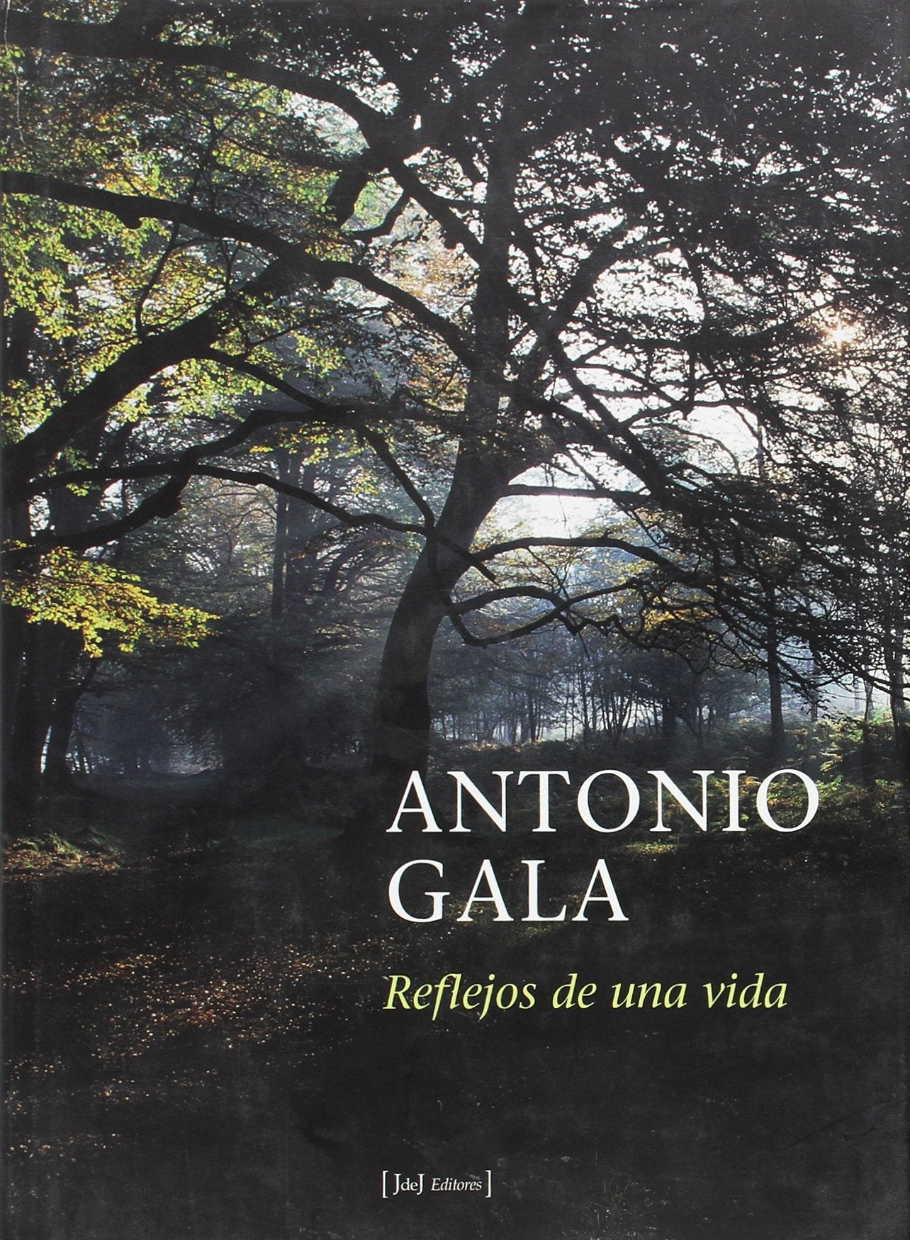 Reflejos de una vida
