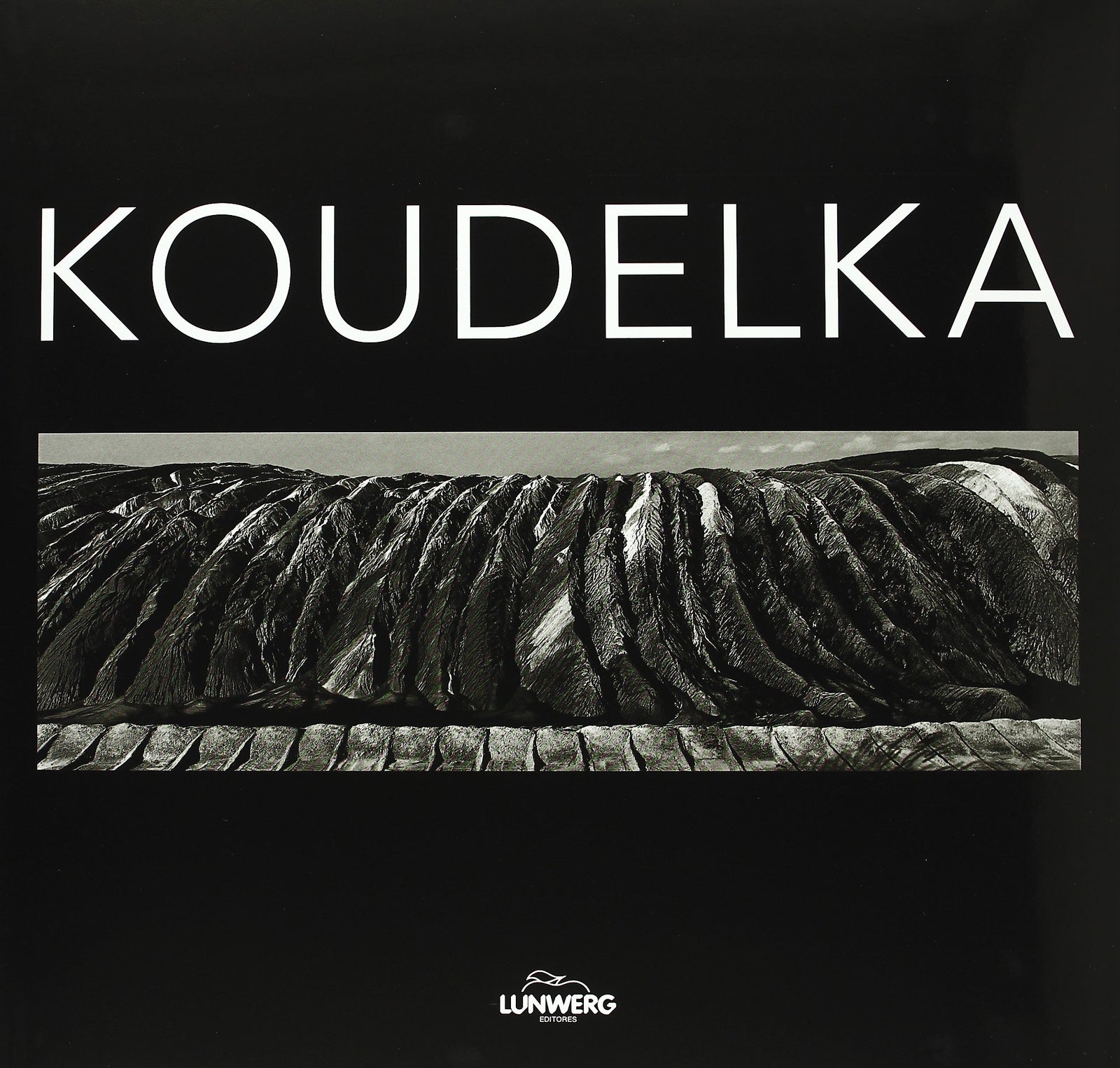 Koudelka: 1 (General)